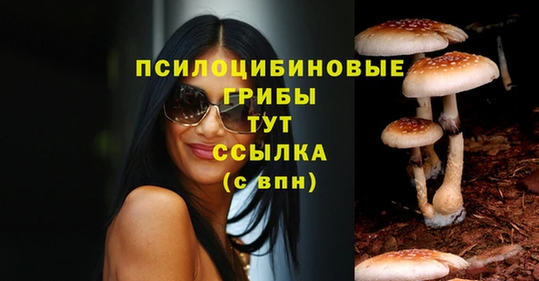 MDMA Верхний Тагил